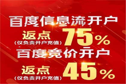 谷歌SEM广告策略：某电商平台的成功逆袭案例